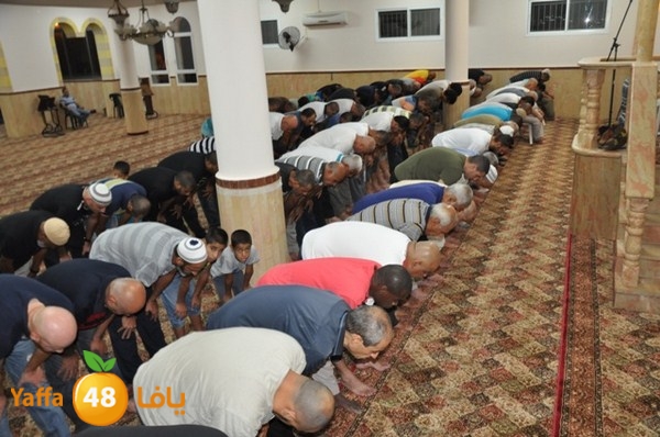 msajed amer qder 804 (3).JPG